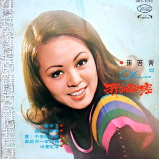 崔苔菁 - 我的秘密