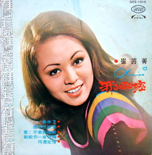 崔苔菁 - 我的秘密