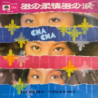 The Youth - 新一代超級旋律 Vol. 2 - 多少柔情多少淚