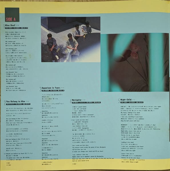 1986 Omega Tribe - Navigator - Image 6